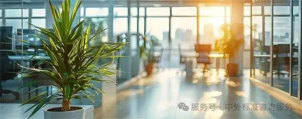 1756720818659916.jpg 5.jpg